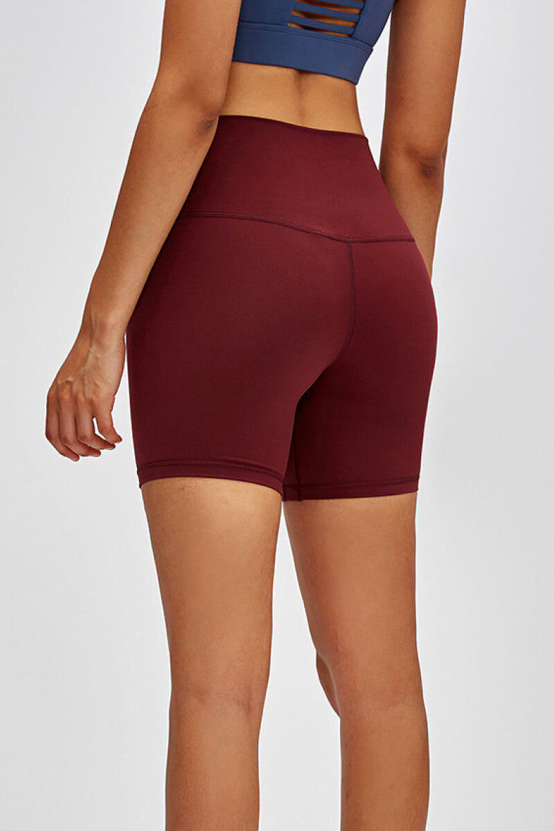 Radiant High Waist Shorts