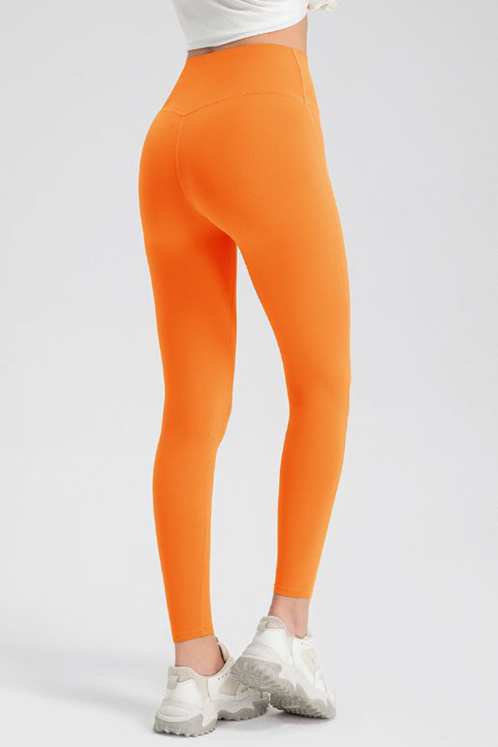 Gallant High Waist Tights