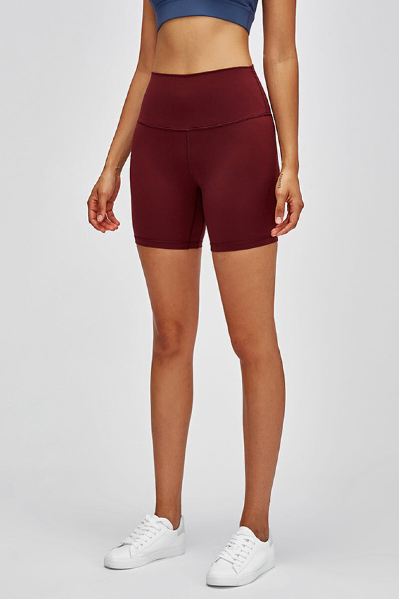 Radiant High Waist Shorts