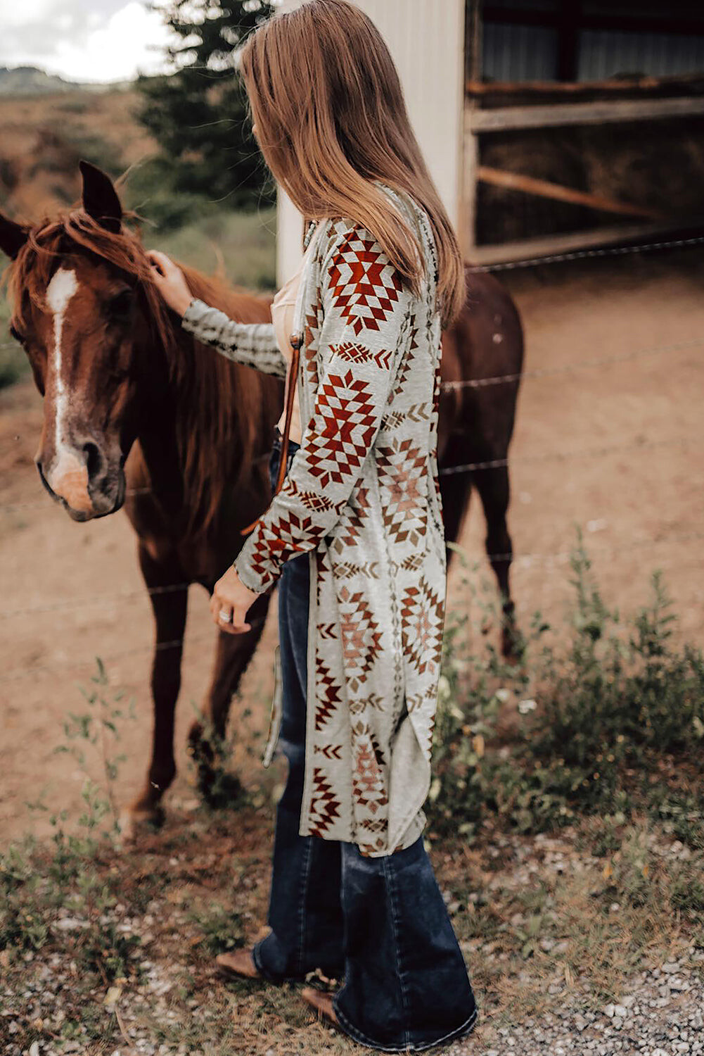 Desert Dreamer